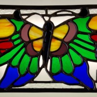 Butterfly window   IMG 0941